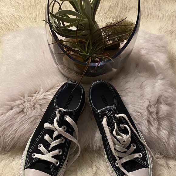 Virtually brand new converse - Picture 5 of 5